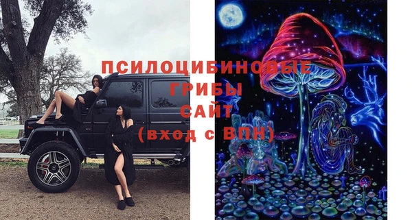 амф Козловка