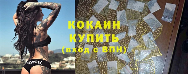 МДПВ Весьегонск