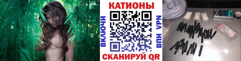 даркнет сайт  Кологрив  МЯУ-МЯУ mephedrone 