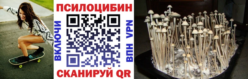 Псилоцибиновые грибы прущие грибы  купить   Кологрив 